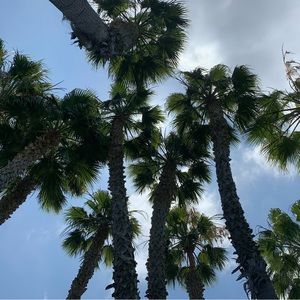 Meet your Posher, Dj